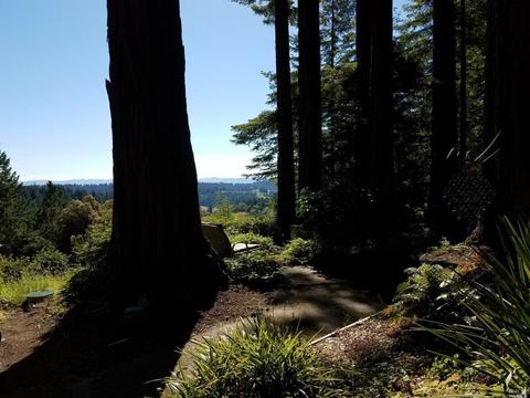 2775 Joy Rd, Occidental, CA 95465 photo 42