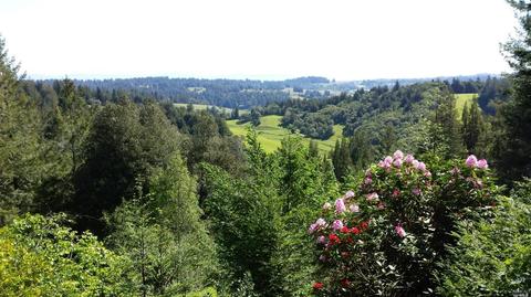 2775 Joy Rd, Occidental, CA 95465 photo 8