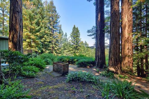 2775 Joy Rd, Occidental, CA 95465 photo 20