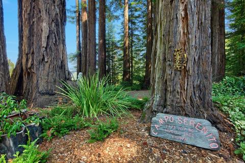 2775 Joy Rd, Occidental, CA 95465 photo 18