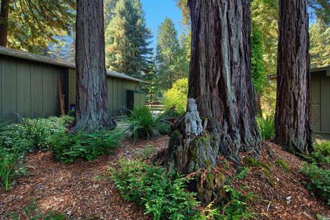 2775 Joy Rd, Occidental, CA 95465 photo 24