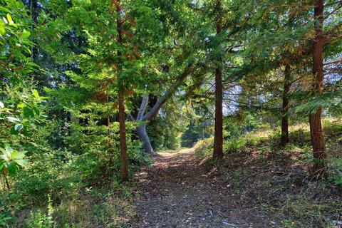 2775 Joy Rd, Occidental, CA 95465 photo 12
