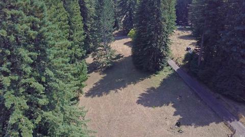 2775 Joy Rd, Occidental, CA 95465 photo 34