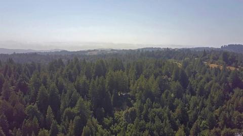 2775 Joy Rd, Occidental, CA 95465 photo 40