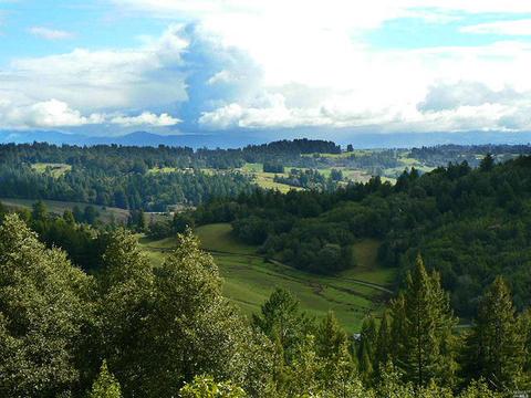 2775 Joy Rd, Occidental, CA 95465 photo 3