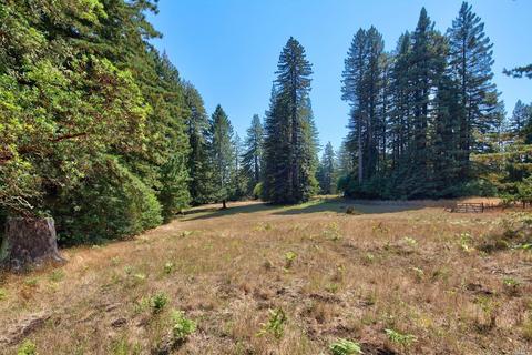 2775 Joy Rd, Occidental, CA 95465 photo 13