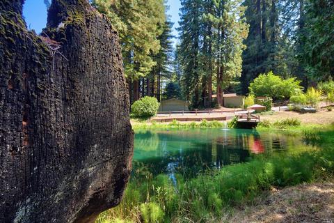 2775 Joy Rd, Occidental, CA 95465 photo 7