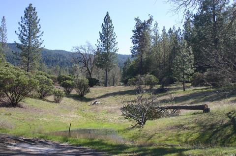 14847 Bottle Rock Rd, Cobb, CA 95426 photo 3