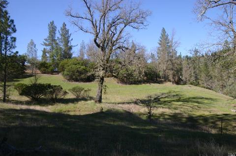 14847 Bottle Rock Rd, Cobb, CA 95426 photo 14