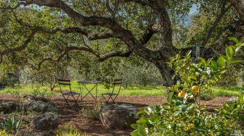 3889 Lovall Valley Rd, Sonoma, CA 95476 photo 3