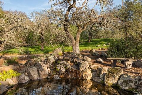 3889 Lovall Valley Rd, Sonoma, CA 95476 photo 27