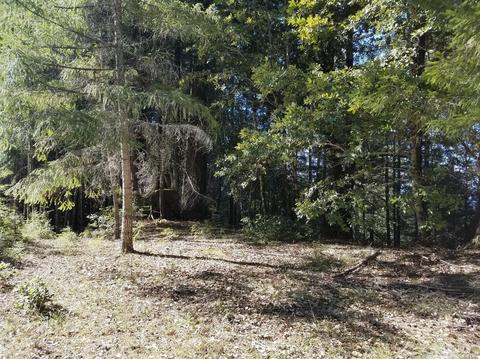 26760 Ridge Rd, Willits, CA 95490 photo 1