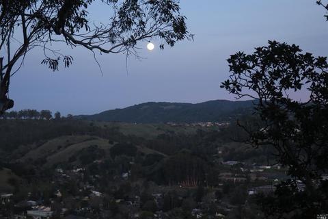 45 Summit Rd, San Anselmo, CA 94960 photo 33