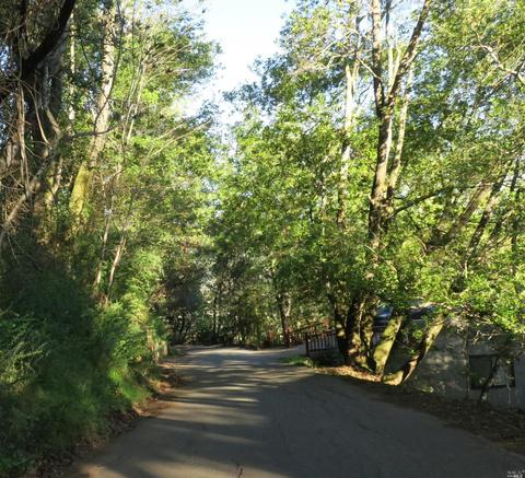 45 Summit Rd, San Anselmo, CA 94960 photo 38