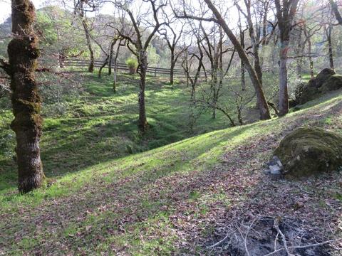 7830 Lakeside Dr, Ukiah, CA 95482 photo 46