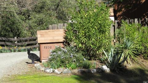 7830 Lakeside Dr, Ukiah, CA 95482 photo 48