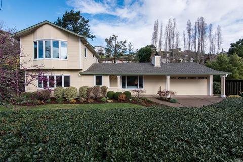 316 Ricardo Rd, Mill Valley, CA 94941 photo 3