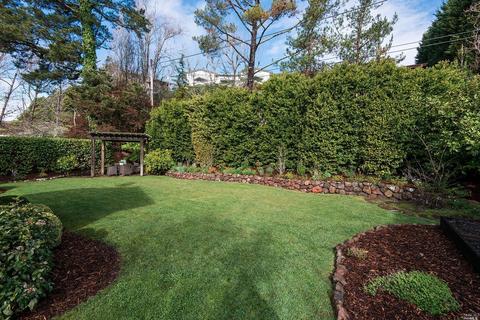 316 Ricardo Rd, Mill Valley, CA 94941 photo 5