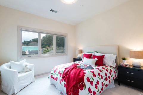 316 Ricardo Rd, Mill Valley, CA 94941 photo 24
