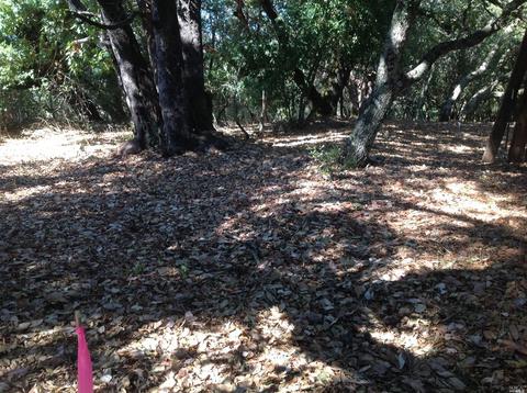 4455 Pine Flat Rd, Healdsburg, CA 95448 photo 6