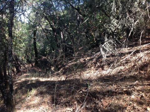 4455 Pine Flat Rd, Healdsburg, CA 95448 photo 5