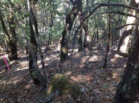 4455 Pine Flat Rd, Healdsburg, CA 95448 photo 9