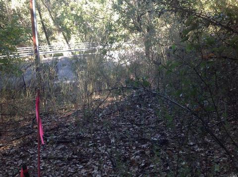 4455 Pine Flat Rd, Healdsburg, CA 95448 photo 8