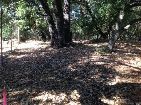 4455 Pine Flat Rd, Healdsburg, CA 95448 photo 7