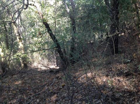 4455 Pine Flat Rd, Healdsburg, CA 95448 photo 2
