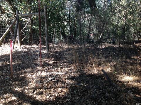4455 Pine Flat Rd, Healdsburg, CA 95448 photo 4