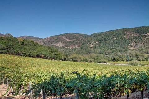 2373 N 3rd Ave, Napa, CA 94558 photo 6