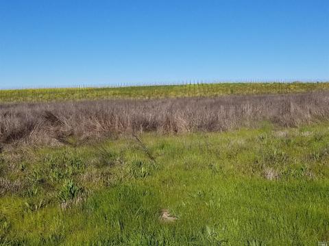 9900 Old Camp Ln, Windsor, CA 95492 photo 10