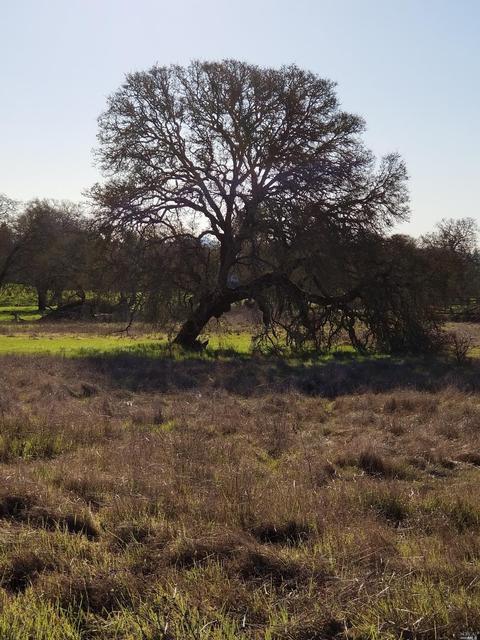 9900 Old Camp Ln, Windsor, CA 95492 photo 6