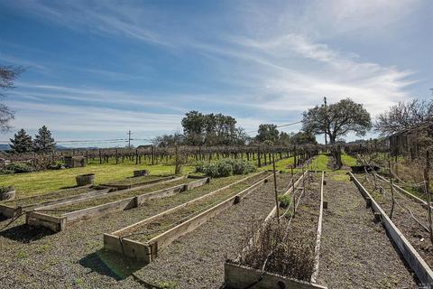 4075 Westside Rd, Healdsburg, CA 95448 photo 28