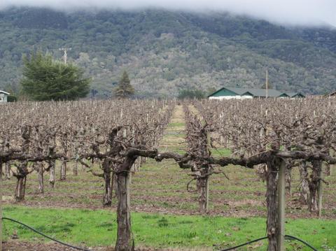 2801 Old River Rd, Ukiah, CA 95482 photo 17