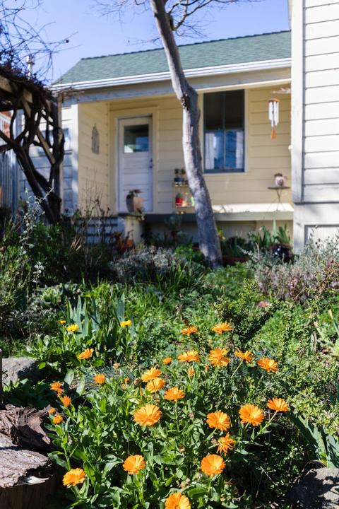 125 1st St, Tomales, CA 94971 photo 2