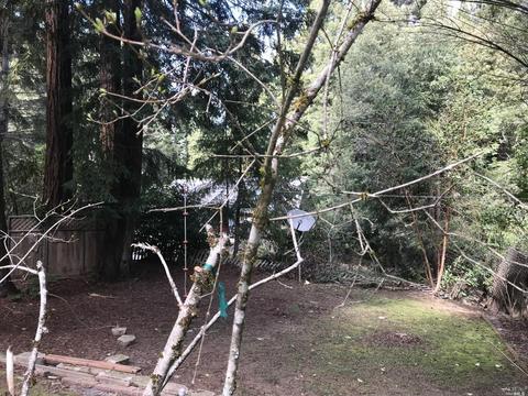 1629 Camellia Ct, Willits, CA 95490 photo 16