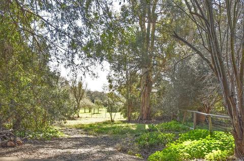 365 Montecito Blvd, Napa, CA 94559 photo 17