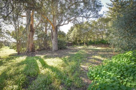 365 Montecito Blvd, Napa, CA 94559 photo 16