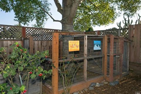 860 Daniel Dr, Petaluma, CA 94954 photo 11