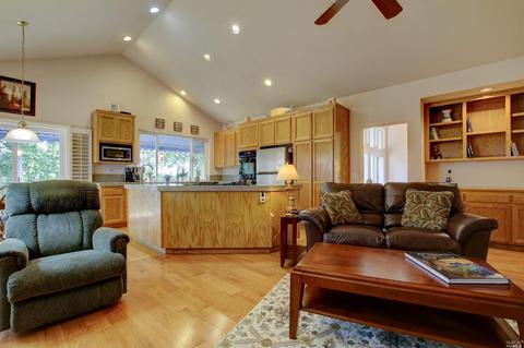 919 Amelia Ct, Windsor, CA 95492 photo 23