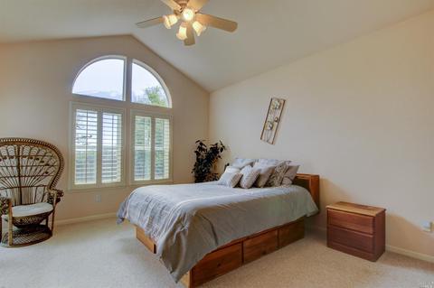 919 Amelia Ct, Windsor, CA 95492 photo 29