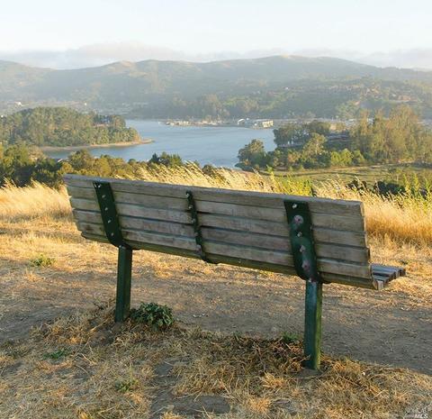 238 Reed Blvd, Mill Valley, CA 94941 photo 33
