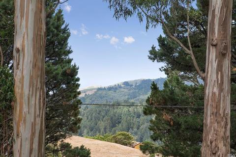 35 Ridge Ave, Mill Valley, CA 94941 photo 32