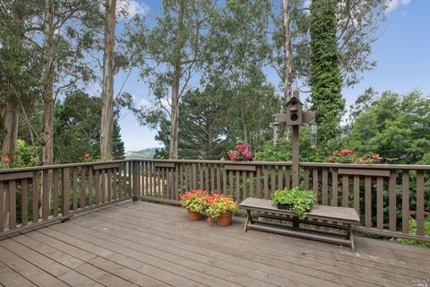 35 Ridge Ave, Mill Valley, CA 94941 photo 40