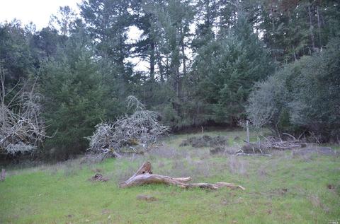 151 Arroyo Rd, Lagunitas, CA 94938 photo 9