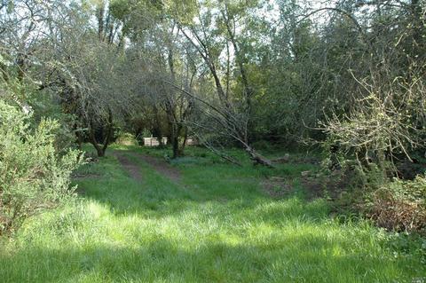 151 Arroyo Rd, Lagunitas, CA 94938 photo 5