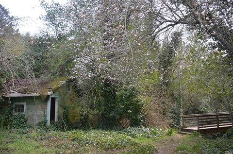 151 Arroyo Rd, Lagunitas, CA 94938 photo 19