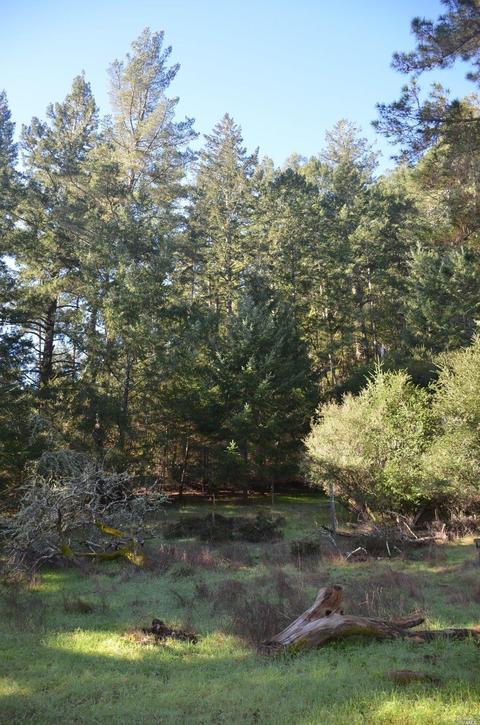 151 Arroyo Rd, Lagunitas, CA 94938 photo 22