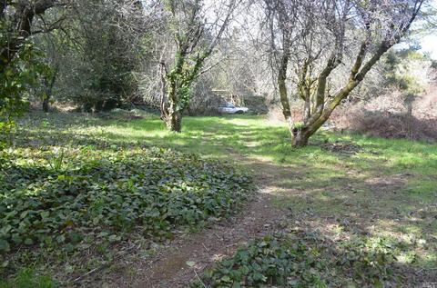 151 Arroyo Rd, Lagunitas, CA 94938 photo 8